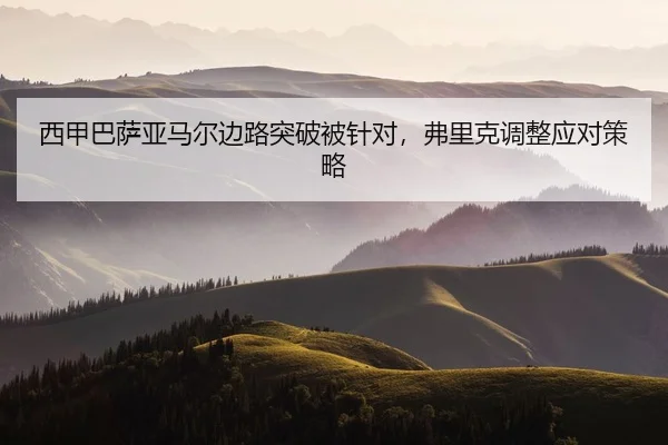 xi-jia-ba-sa-ya-ma-er-bian-lu-tu-po-bei-zhen-dui-fu-li-ke-tiao-zheng-ying-dui-ce-lve-2-604.jpg